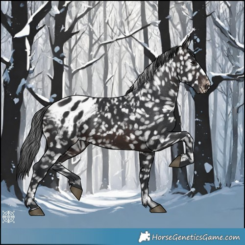 Horse Color:Brown Blanket 