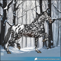 Horse Color:Brown Blanket 