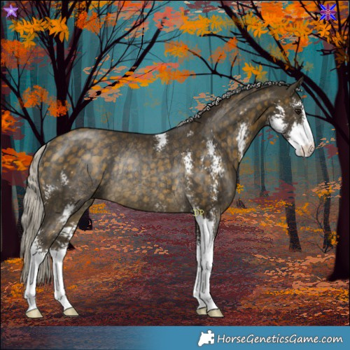 Horse Color:Silver Buckskin Sabino Rabicano 