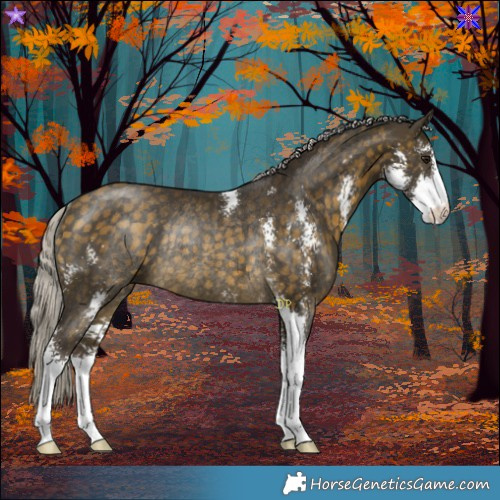 Horse Color:Silver Buckskin Sabino Rabicano 