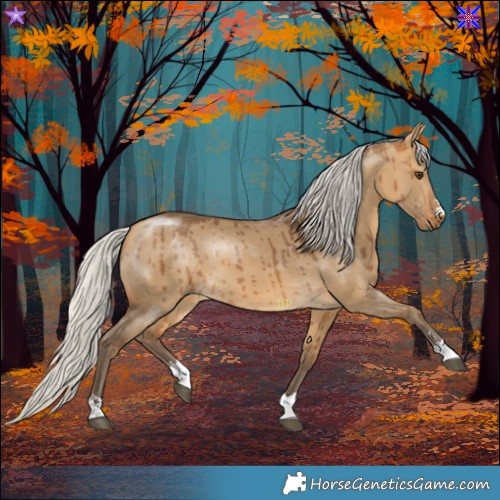 Horse Color:Silver Buckskin Dun Brindle