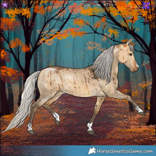 Horse Color:Silver Buckskin Dun Brindle