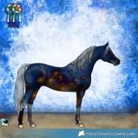 Horse Color:ERROR: UNKNOWN ANOMALY
