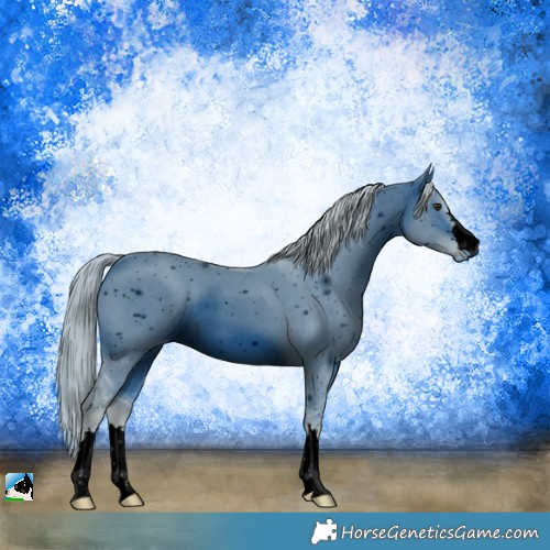 Horse Color:ERROR: UNKNOWN ANOMALY