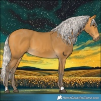 Horse Color:Silver Buckskin