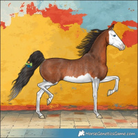 Horse Color:Bay Splash Rabicano 