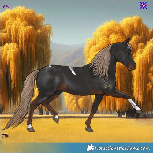 Horse Color:Liver Chestnut Tobiano Rabicano 