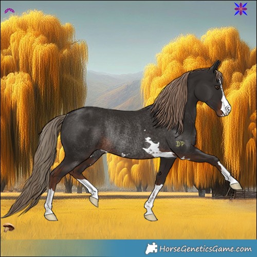 Horse Color:Liver Chestnut Rabicano 