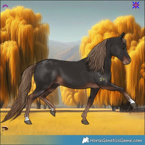 Horse Color:Liver Chestnut 