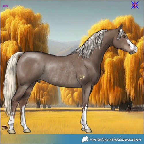 Horse Color:Liver Red Dun Mushroom Rabicano 