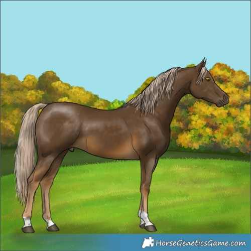 Horse Color:Chocolate Palomino Mushroom Tobiano 