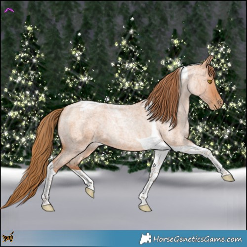 Horse Color:Bay Roan Pearl Tobiano