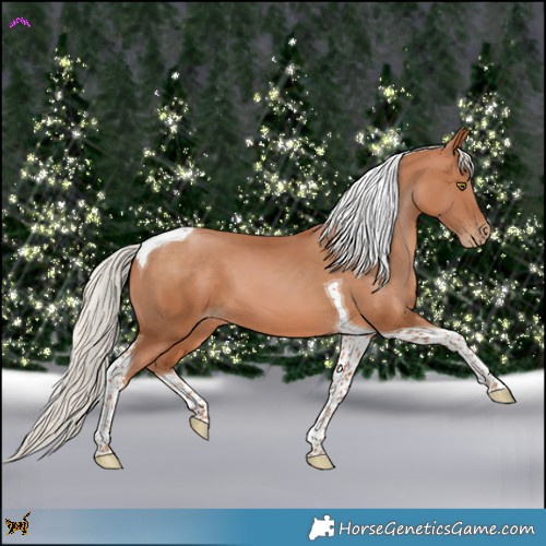 Horse Color:Silver Brown Pearl Tobiano