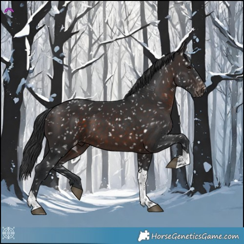 Horse Color:Brown Tobiano Snowflake Varnish