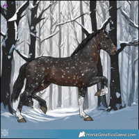 Horse Color:Brown Tobiano Snowflake Varnish