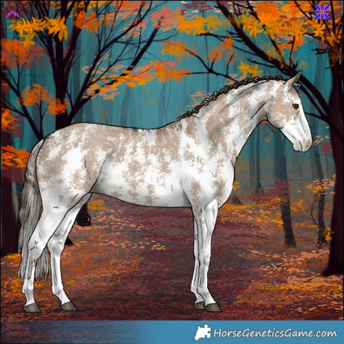 Horse Color:Liver Red Dun Sabino