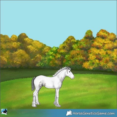 Horse Color:Brown Ice Onyx Sabino Splash Tobiano Rabicano 