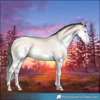 Horse Color:Amber Champagne Dun Splash 