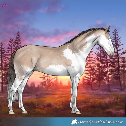Horse Color:Amber Champagne Splash Rabicano 