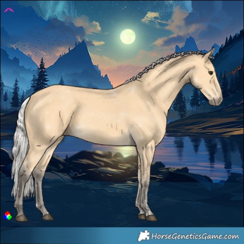 Horse Color:Silver Buckskin 