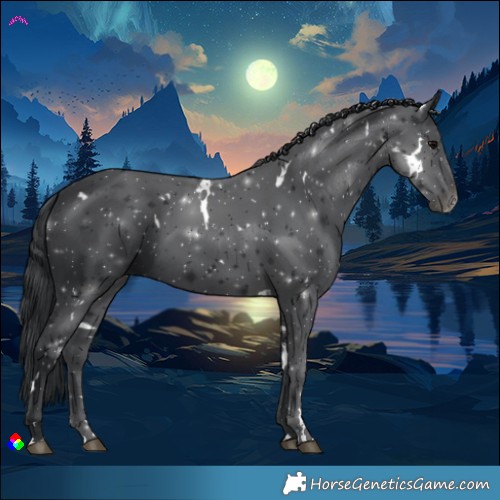 Horse Color:White Spotted Black 