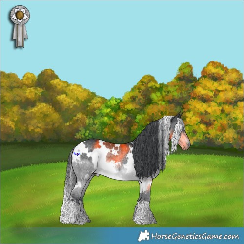 Horse Color:White Spotted Brown Chinchilla Mushroom Rabicano 