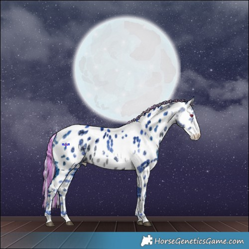 Horse Color:Painted Watercolor White Spotted Chocolate Silver Brown Chinchilla Ice Frame Appaloosa 