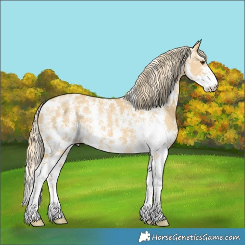 Horse Color:Palomino Dun Sabino 