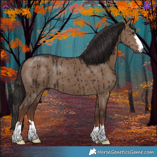 Horse Color:Liver Red Dun Brindle 