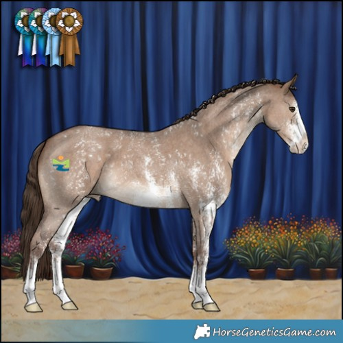 Horse Color:Liver Red Dun Sabino 