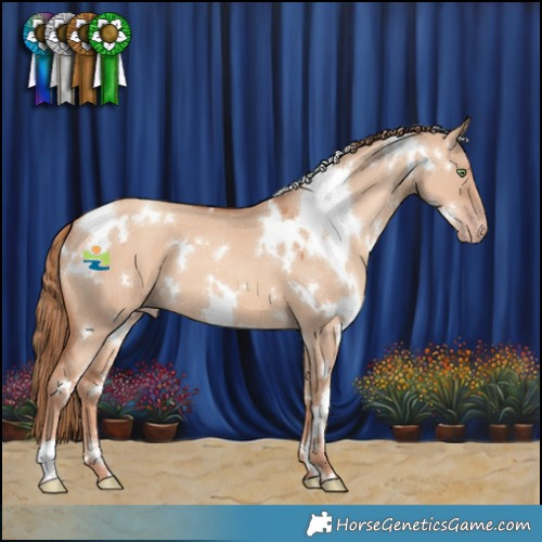 Horse Color:White Spotted Gold Champagne Dun 