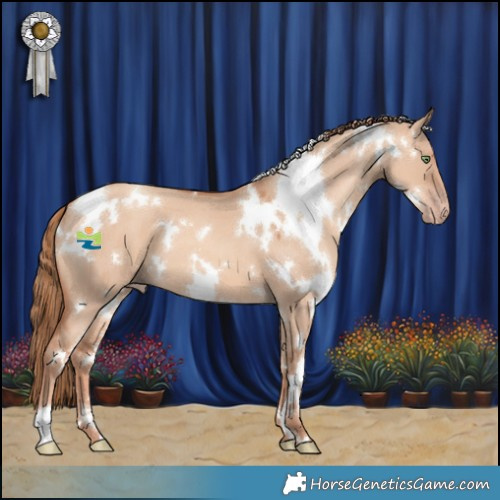 Horse Color:White Spotted Gold Champagne Dun 