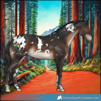 Horse Color:White Spotted Brown 
