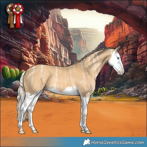 Horse Color:Palomino Ice Dun Splash 