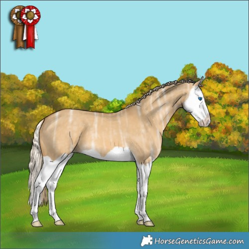 Horse Color:Palomino Ice Dun Splash