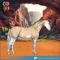 Horse Color:Palomino Ice Dun Splash