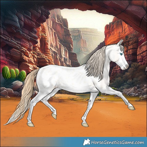 Horse Color:Buckskin Roan Pearl Dun Splash Appaloosa 