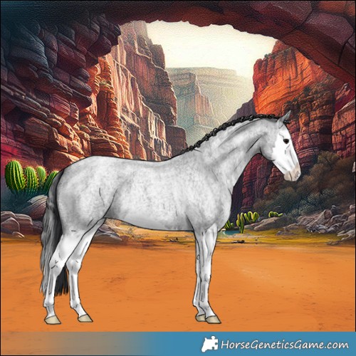 Horse Color:Blue Ice Roan Splash 