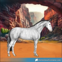 Horse Color:Blue Ice Roan Splash
