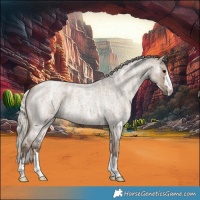 Horse Color:Silver Grullo Ice Roan