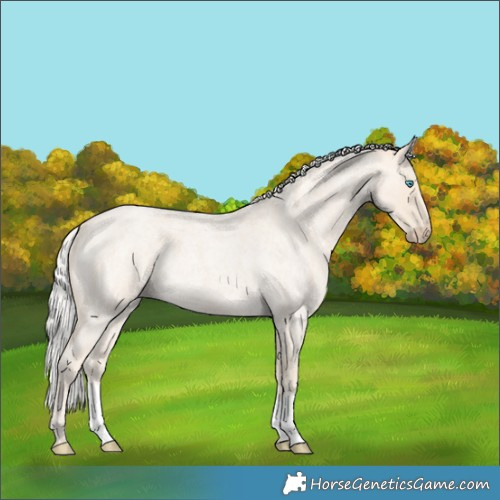 Horse Color:Silver Smoky Creme Roan 