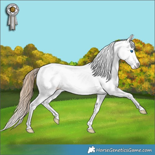 Horse Color:Brown Pearl Splash 