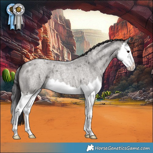 Horse Color:Smoky Grullo Ice Roan Splash 