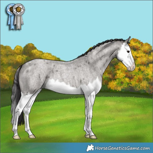 Horse Color:Smoky Grullo Ice Roan Splash 