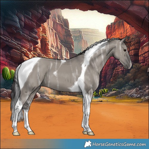 Horse Color:Smoky Grullo Ice Tobiano 
