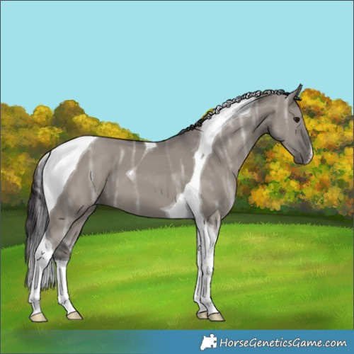 Horse Color:Smoky Grullo Ice Tobiano 