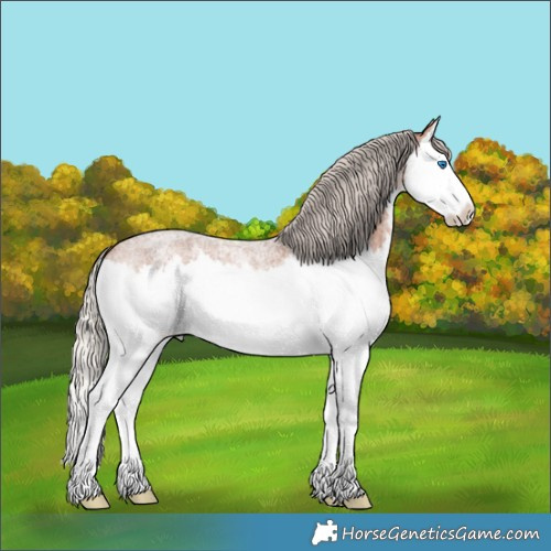 Horse Color:Silver Brown Roan Splash 