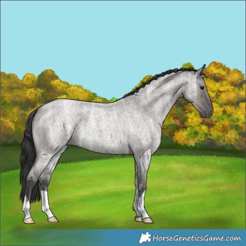 Horse Color:Smoky Grullo Ice Roan 