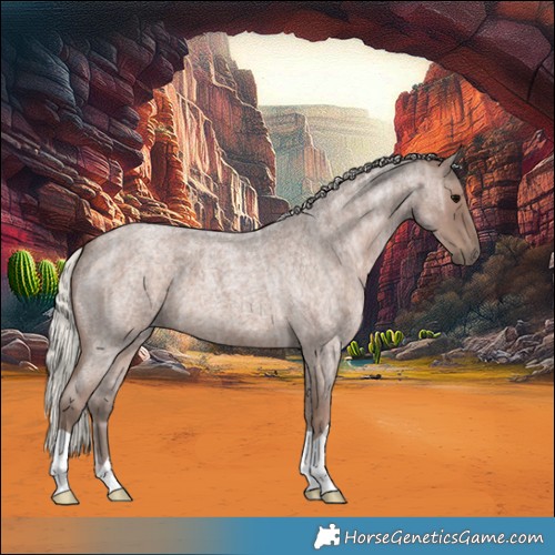 Horse Color:Silver Blue Ice Roan 