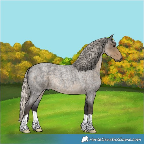 Horse Color:Silver Smoky Blue Roan 